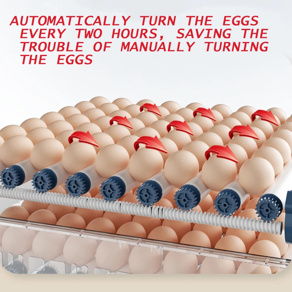 220V/110V 9/15  ť  ڵ ڵ ͳ  Ƹ ΰ ȭ    ÷  Ŀ,  ť