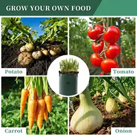Garden Grow Bags 3/5/7/10 Gallon Plant Growing Bags PE Vegetable Planter Growing Bag DIY Fabric Grow Pot Potato Onion Bag 5