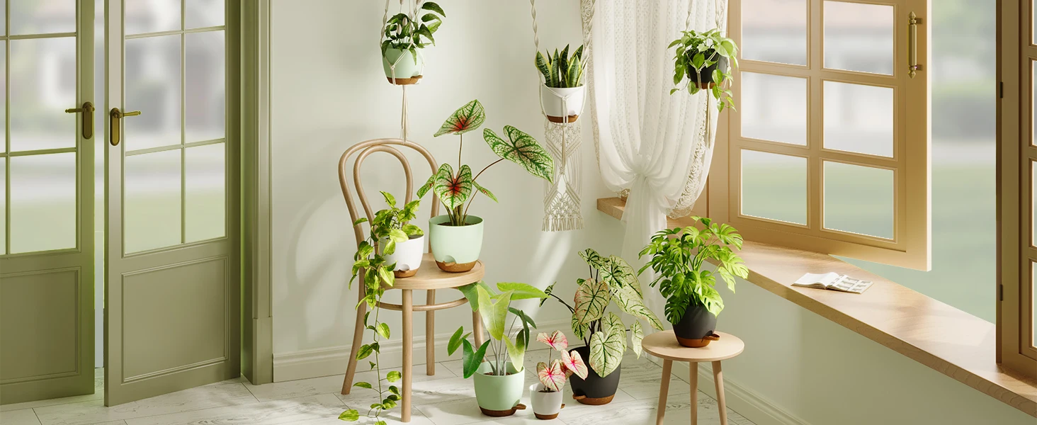 plant pot
