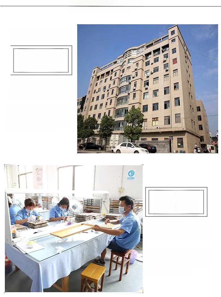 2072556008_343533664