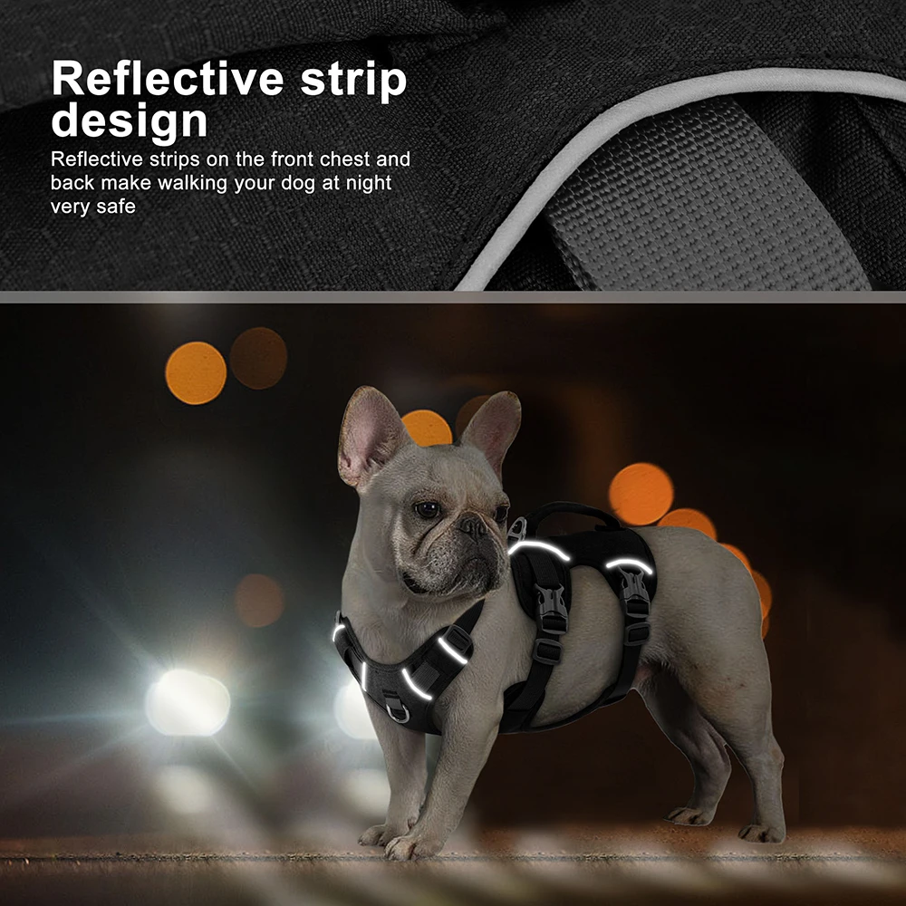 Escape Proof Nylon Dog Harness 3