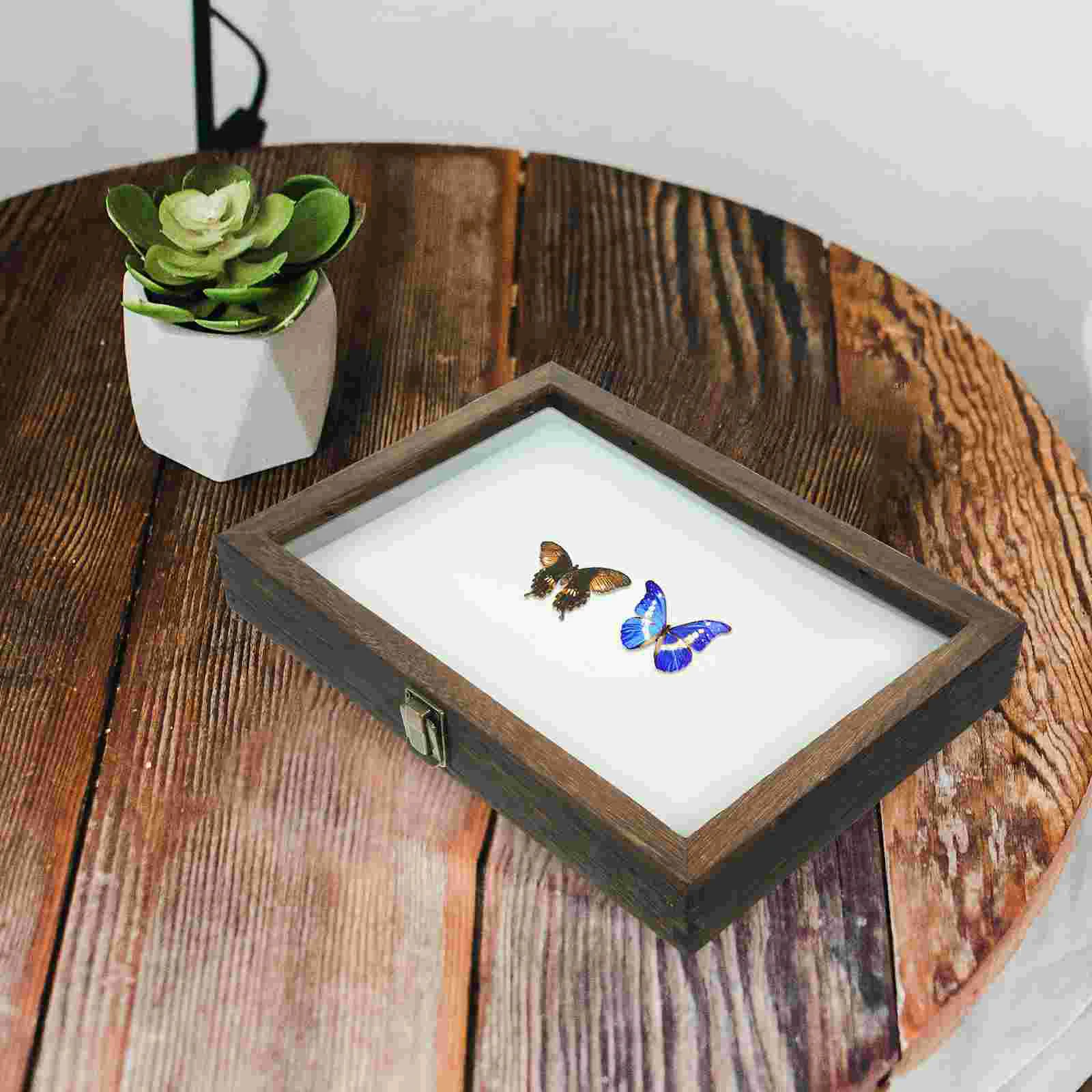 

Sets Display Case Clear Glass Top for Collecting Butterflies and Bugs in Museums