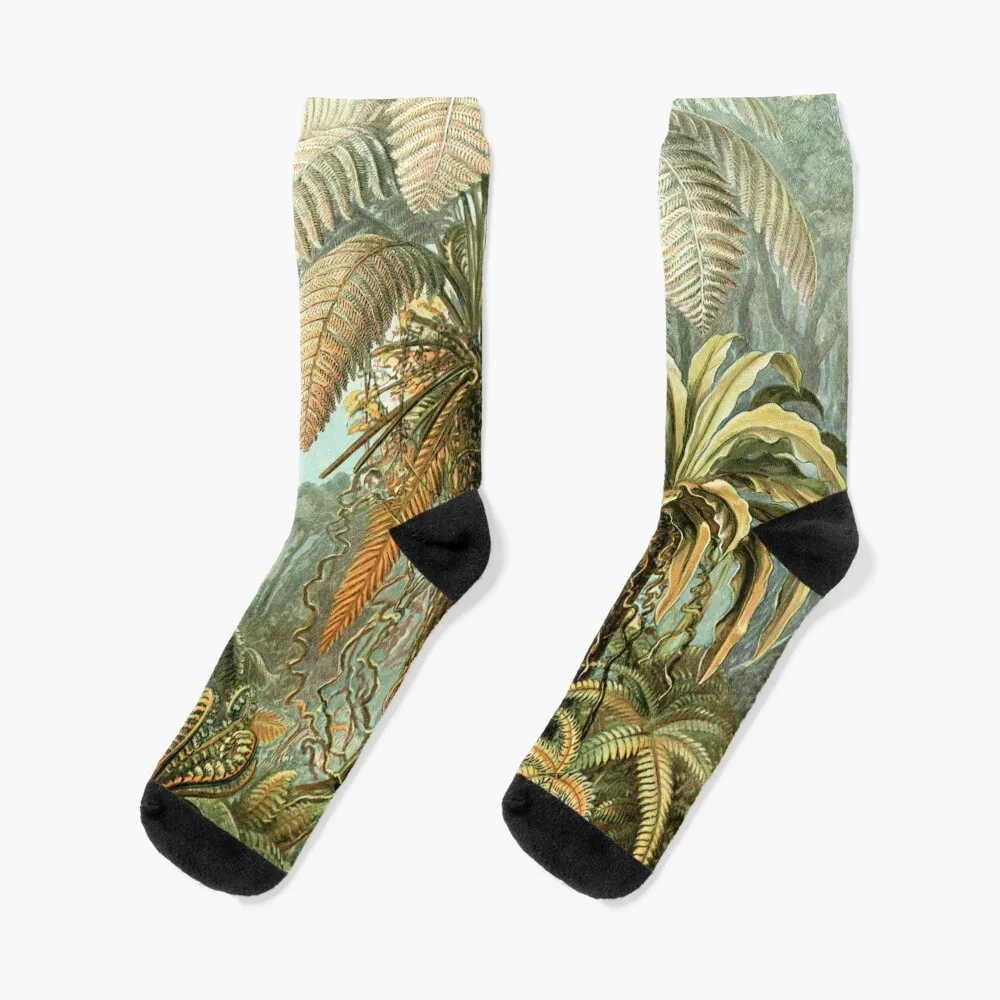 Vintage Tropical Palm Illustration Painting Artwork Socks designer socks Men Socks Women's