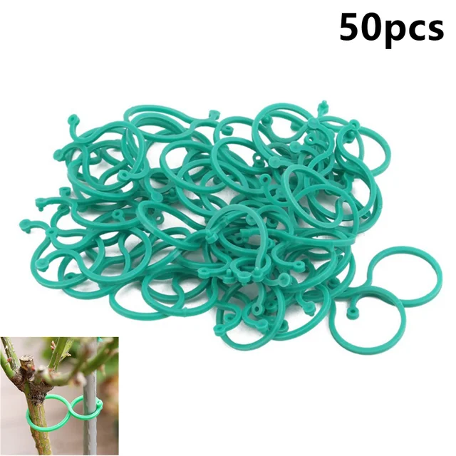 50PCS