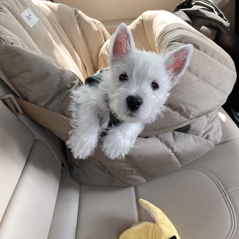Dog Carrier Bag - Car Seat Cover For Dog 2 In 1