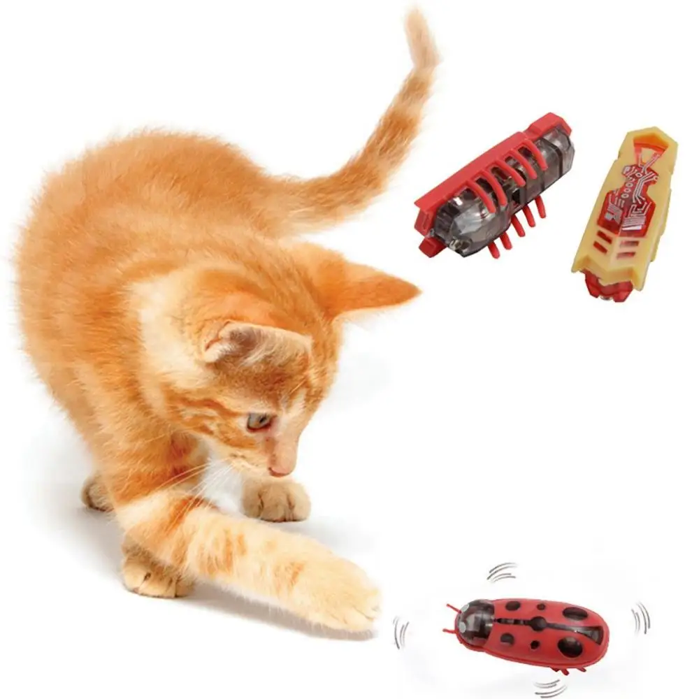 

Batteriy Operate Shake Escaping Funny Automatic Interactive Pet Supplies Electric Ladybug Cat Toy Electric Pet Toy