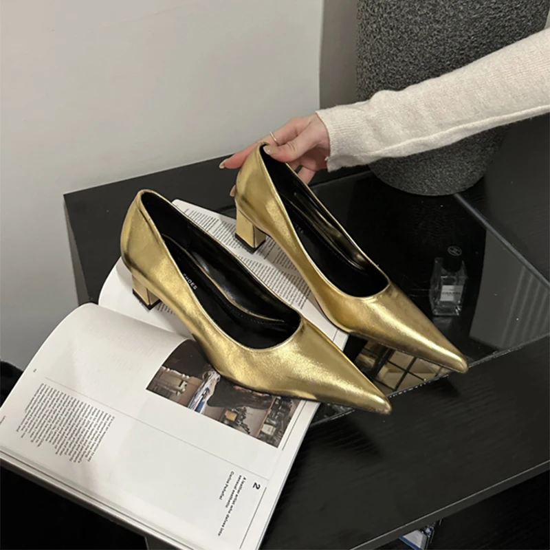 2023 Fashion High Heels Size 35-39 Women Shoes 5cm Thick Heel Banquet Wedding Shoes Sexy Pointed Toe Ladies Party Shoes Pumps