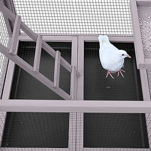 Bird Cage Parakeet Cage