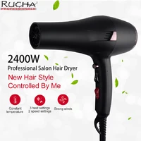 2400W Professional Hair Dryer Hot Cold Wind Blow dryer Hairdryer For Hair Salon for Household Use 1