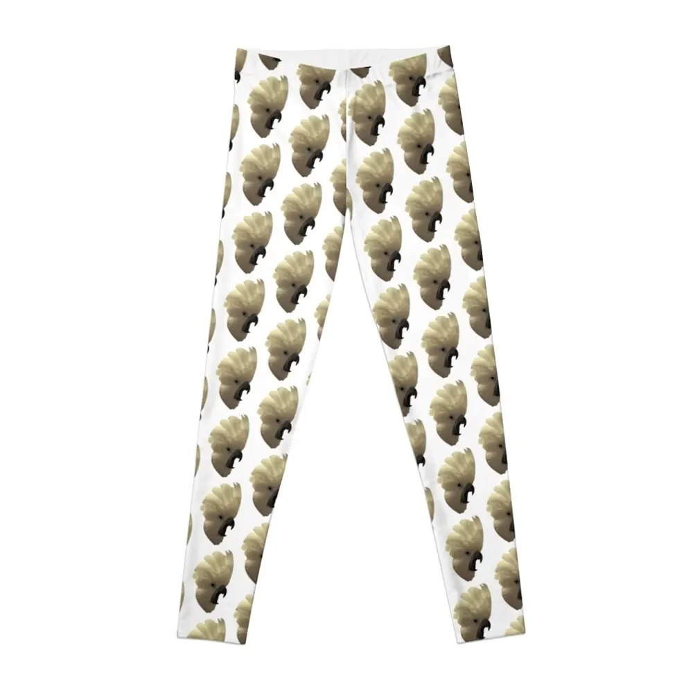 

Леггинсы для тренировок Какаду Yell, шорты, облегающая женская одежда для спортзала, спортивные женские леггинсы