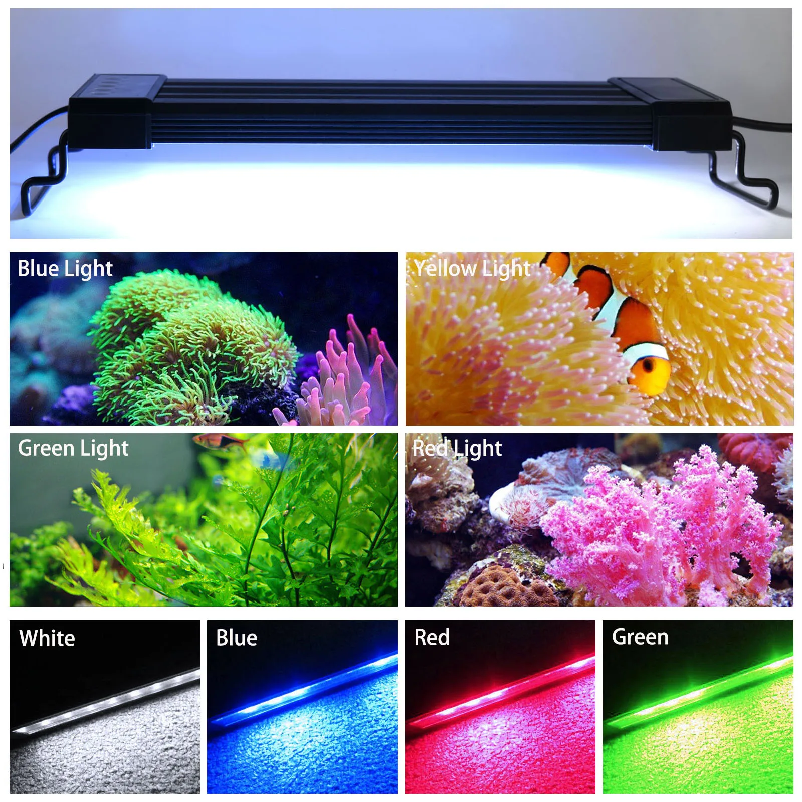 Red And Blue Aquarium Light