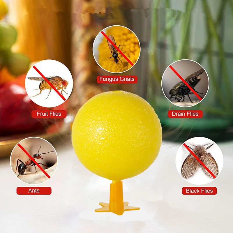 Fruit Fly Traps Flying Insects Trap Ball Fruit Flavor Trap Kitchen Home Sticky For Indoor Outdoor Mosquito Collector insects repeller