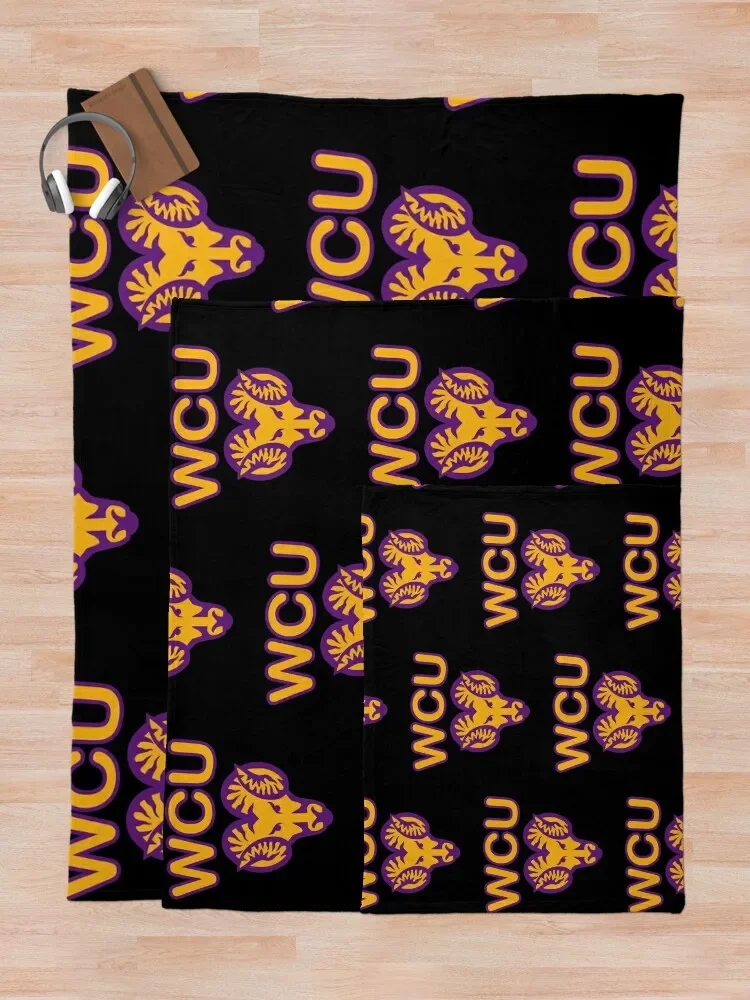 ����Ʈ ü���� ���б� ������ ���, ��� ���� ħ��, �ε巯�� ���