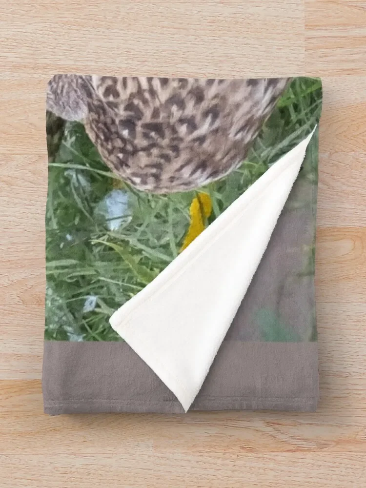 3 �� ������ ���, ���� �̺�, �Ϳ��� �ܿ� ħ��