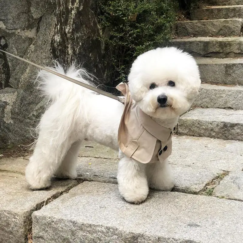 Dog Cloak Windbreaker Corgis French Bulldog Pet Dog Bib Fashion British Style Pet Clothing Cape Pets Costume Trench #W0