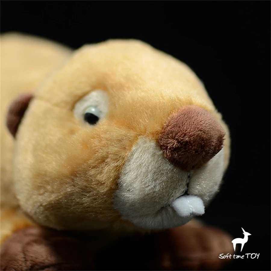 Beaver High Fidelity Anime Cute Otter Plushie Lutra Plush Toys Lifelike Animals Simulation Stuffed Doll Kawai Toy Gifts For Kids 4