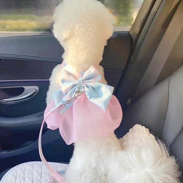 Bow Dog Collar Skirt