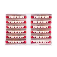84/96pcs Dental Teeth Model Denture False Teeth DIY Material Anterior Posterior Teeth Education Model A1/ A2/ A3 2