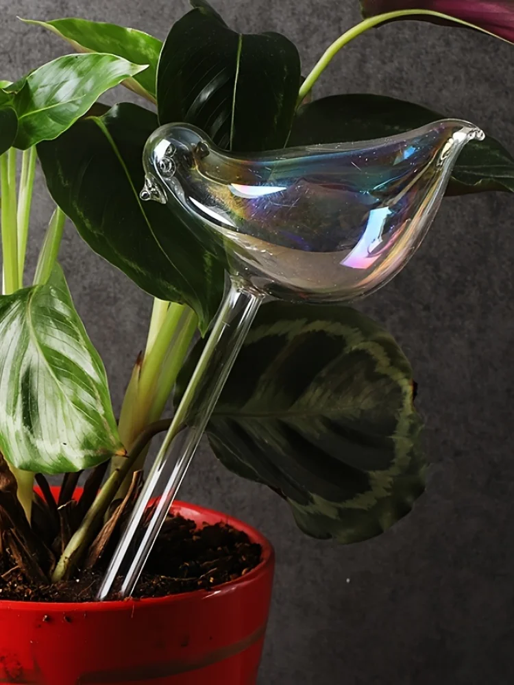 4 Pezzi Irrigazione Goccia Automatica in Vetro Forma di Uccellino Sistema Sfere per Irrigazione