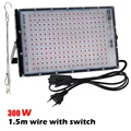 300W EU Plug