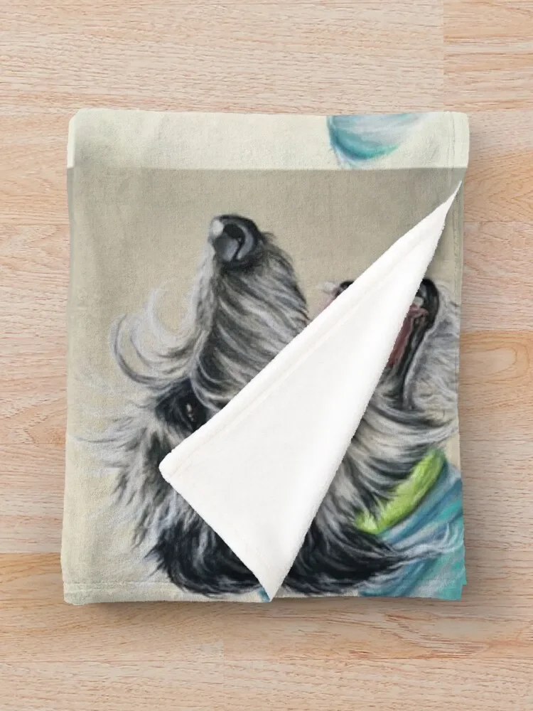 ScruffyLurcher ���� ���� ������ ���, �����ϰ� ǫ���� ķ�� ���