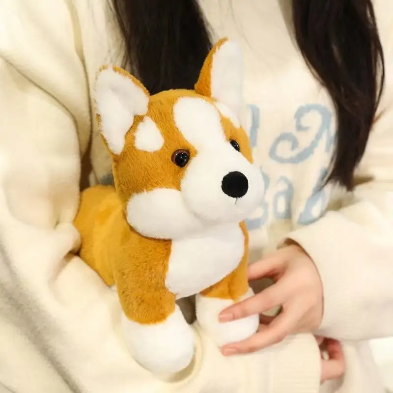 S5d182668f1a04221ab0c728f70d797b1P - Corgi Gifts