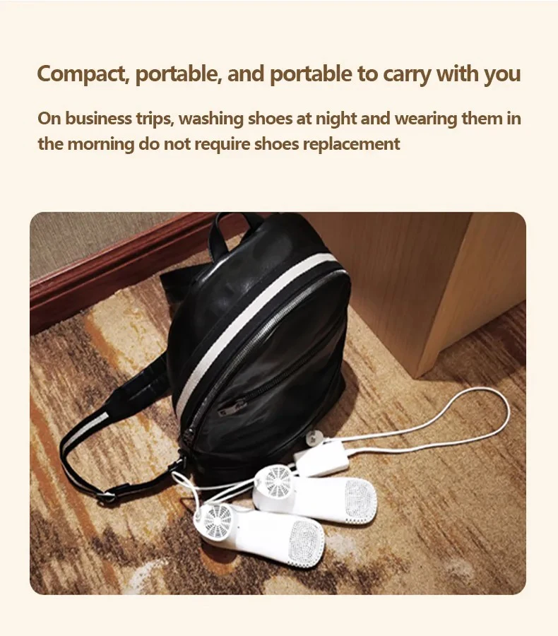 Modern Quick Clean Deodorizing Shoe Dryer