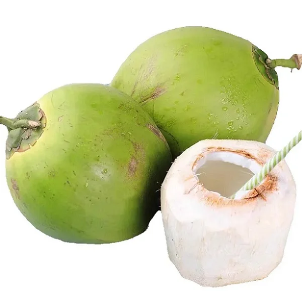 Xbees Coconut Store
