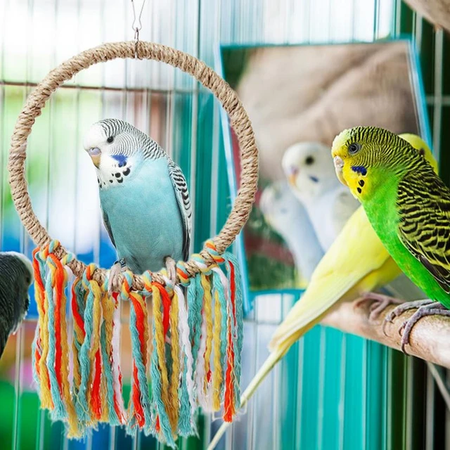 Bird Rope Toy Cotton Rope Stand Perch Climbing for African for Macaw