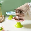 Ceramic Raised Cat Bowl With Flower Design, Elevated Cat Food Bowl Water Plate Snack Dish With Stand For Neck Protection 5