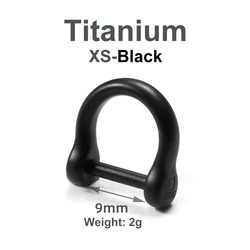 Luxury Titanium Horseshoe Buckle Keychain - Lightweight Baked Color Key Ring Holder, Premium Gift (Titanium - 09mm - Black)