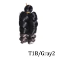 T1B Gray2