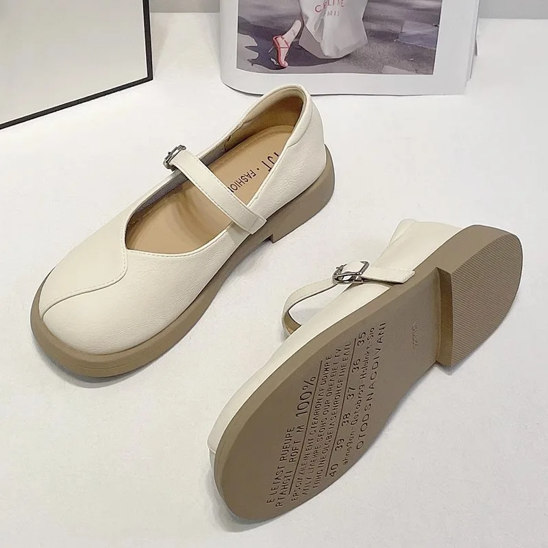 Spring and Autumn Straight Line Shoes with Shallow Mouth Slip-on Shoe Round Toe Soft Soled Thick Heel Shoes for Women