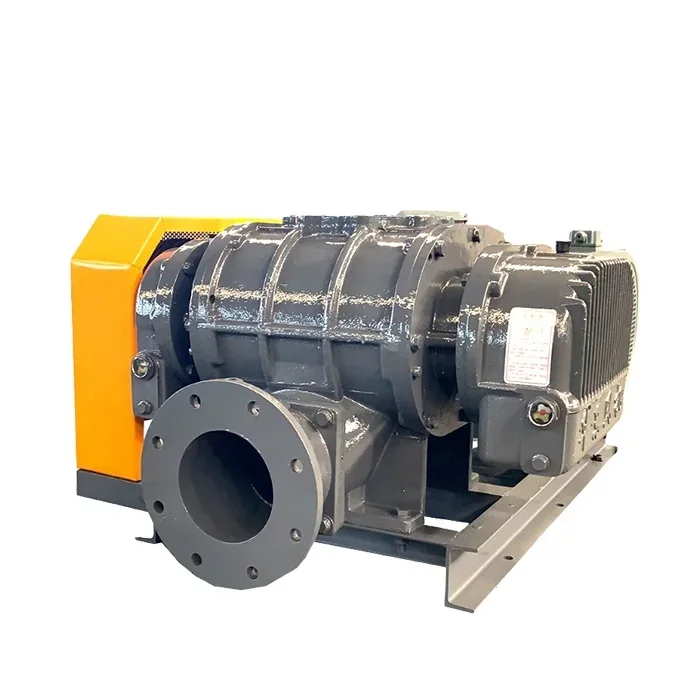 

Hot Sales Roots Blower Vacuum Pump