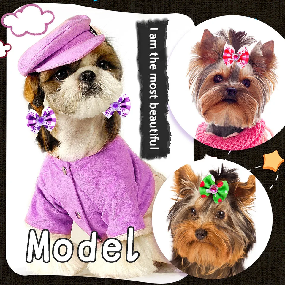 20pcs Nœuds En Dentelle Colorés * Pour Poils D'Animaux Avec Accents De Perles, Design à * Double Couche Pour * Chiens & Chats - Accessoires De Toilettage