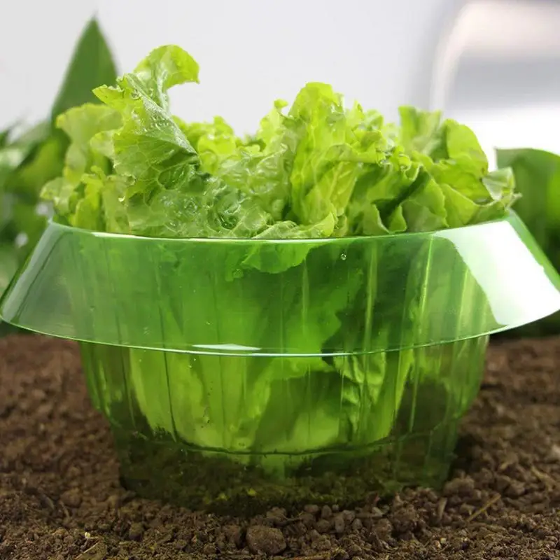 

10pcs Snail Protection Plant Cloches Weatherproof Reusable Garden Cloches for Scientific Snail Control for Parks Vegetable fruit