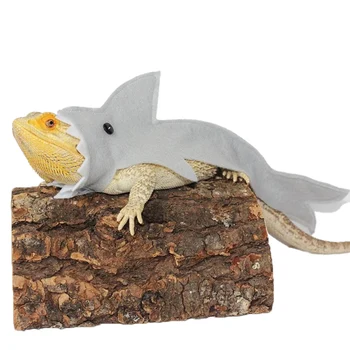 Cute Shark Shape Lizard Chameleon Shark Clothes
