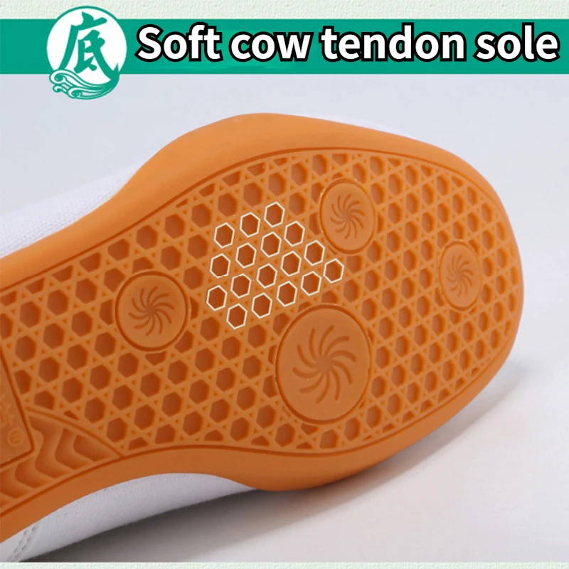 Tai Chi Shoes Men's Soft Sole Kung Fu Training Lightweight Martial Arts Shoes Women's Taekwondo Large Size 28-46
