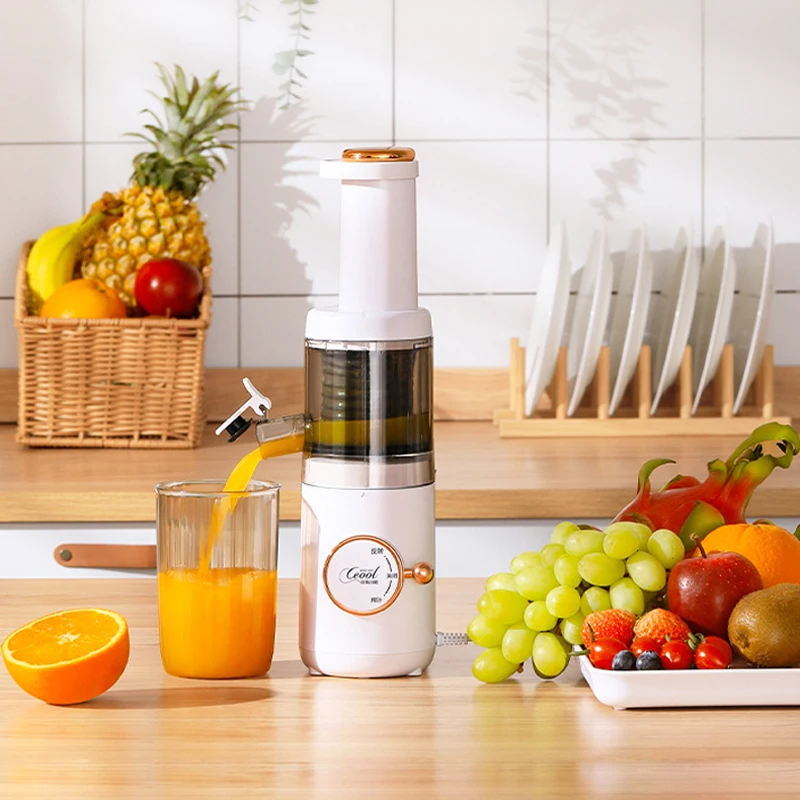 President's choice juice extractor best sale