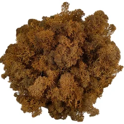 Lush Green Decorative Reindeer Moss for Crafting and Floral Decor (Brown)