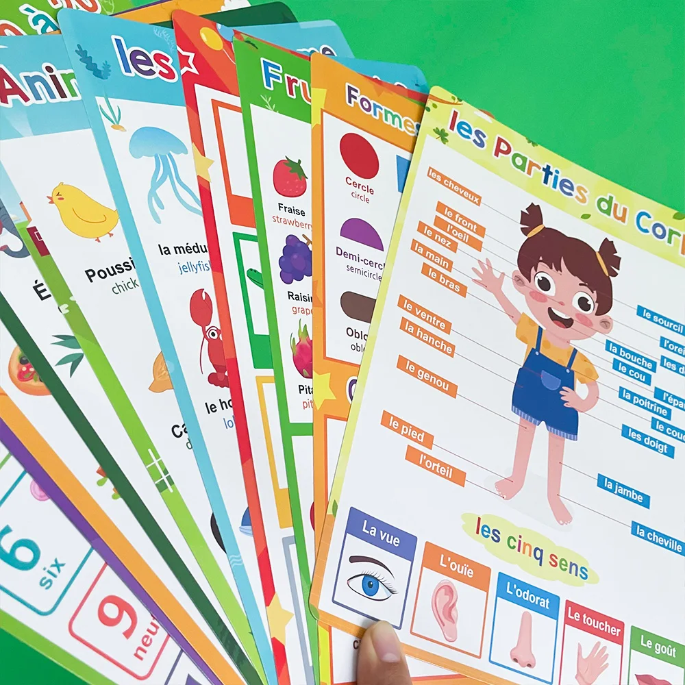 French English Bilingual Words Learning A4 Posters Charts for Kids Kindergarten Classroom Decoration Teacher Teaching Aids 10Pcs 6