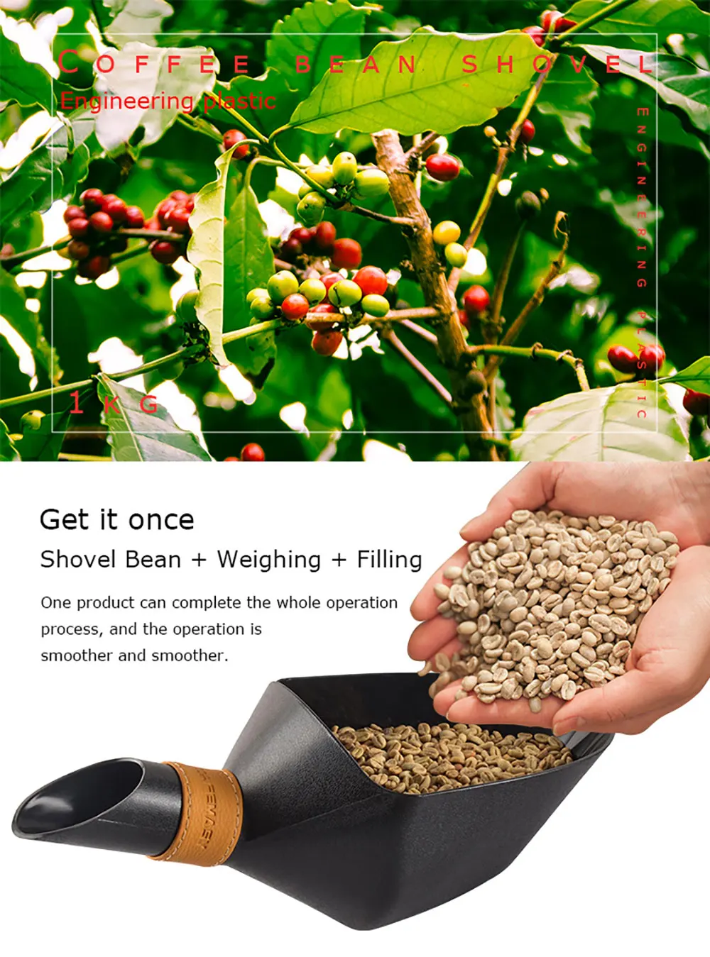 Description Picture 3 of itemCAFEMASY Kitchen Accessories Large Container Shovel For Coffee Bean Flour Ice Cubes Capacity Measuring Tool Scoops 500g 1kg 2kg