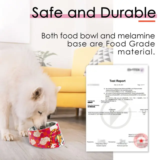 Superdesign Anti-Backflow Device 15 ° Tilted Bowl, Suitable for Cats and Dogs - Non-Slip, Anti-Spill Pet Feeder, Anti-Spill Design, 15 ° Slope Allows Easy Access to Food Bowl, Durable Plastic/Bamboo/Structure, 0.5 Cup Capacity, Blue - Suitable for Small Dogs and Elderly Pets 4