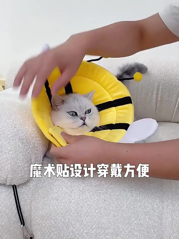 Послеоперационный ошейник для кошек и маленьких собак Mic Cat из хлопка