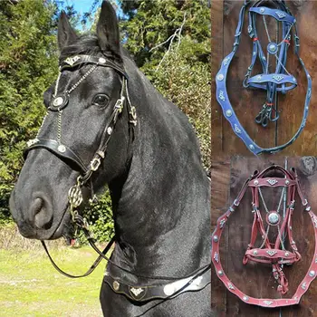 Horse Halter Set 1