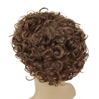 Short Curly Wigs for Men Synthetic Hair Natural Wigs Brown Color Fluffy Haircuts Thick Bob Wig Colly Afro Wig with Bangs Male 3