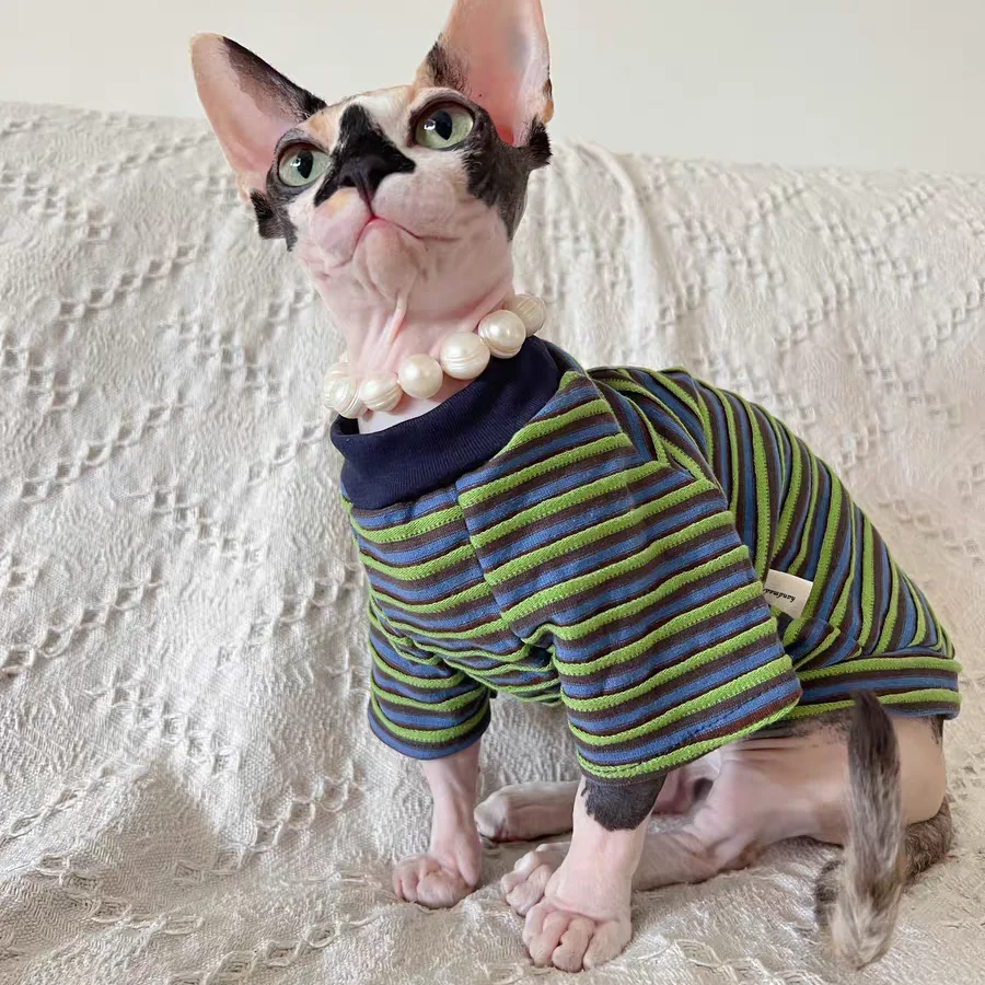 스핑크스 고양이 여름 패션을 위한 스트라이프 코튼 코트 봄에 데본 렉스를 위한 털이 없는 고양이 부드러운 라운지웨어를 위한 녹색 폴로 셔츠