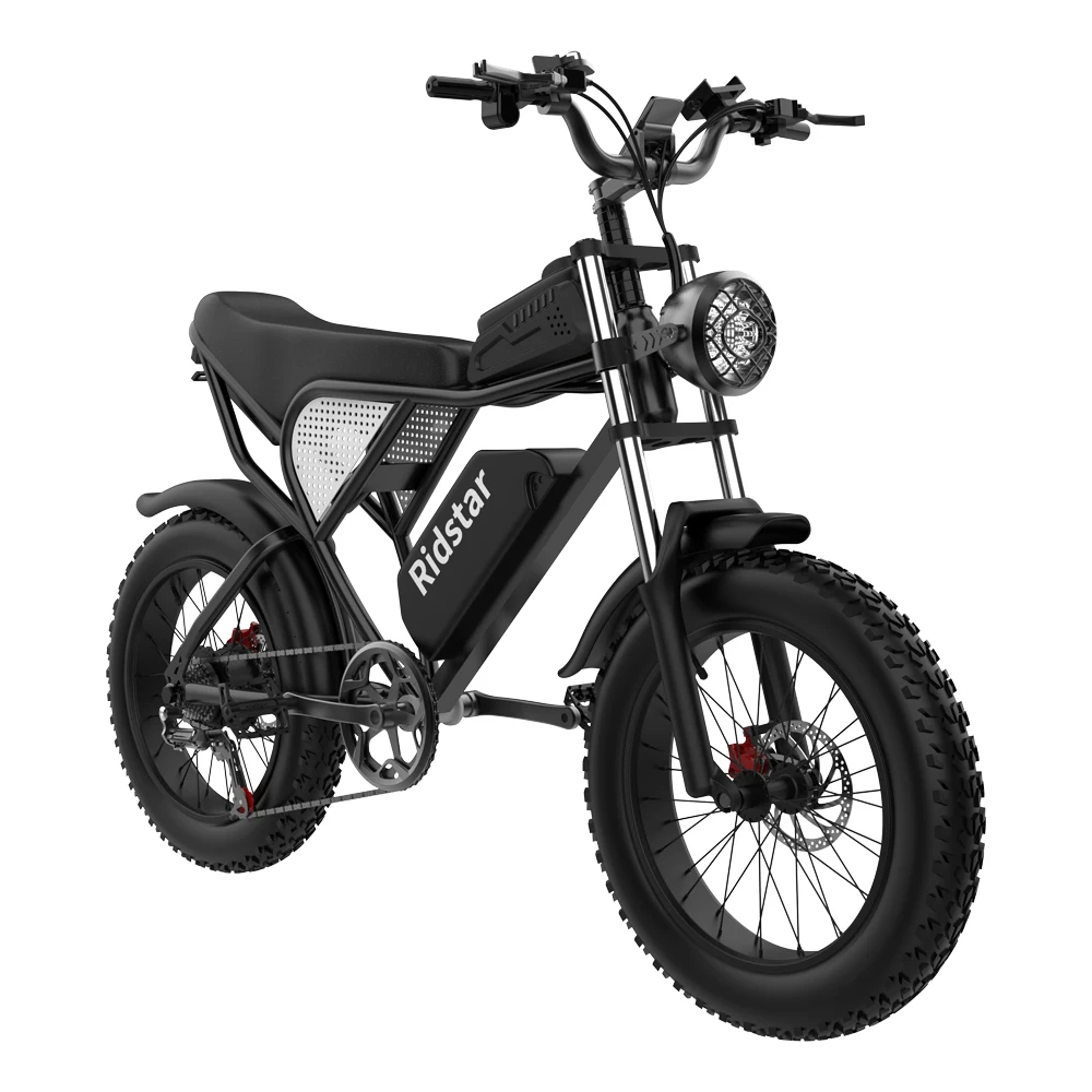

New Electric Bicycle 1000W 48V 20AH Hydraulic Disc Brake Mountain Electric Bike 20 Inch Fat Tire Beach Snow Ebike For Adults