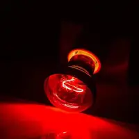 Pet Red Heating Lamp E27 Day Night For Amphibian Snake Lamp Heat Reptile Bulb UV Light 25/50/75/60/40/100W AC220-240V 2