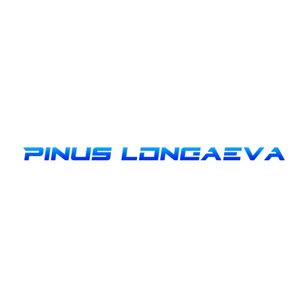 Pinuslongaeva O3 Store
